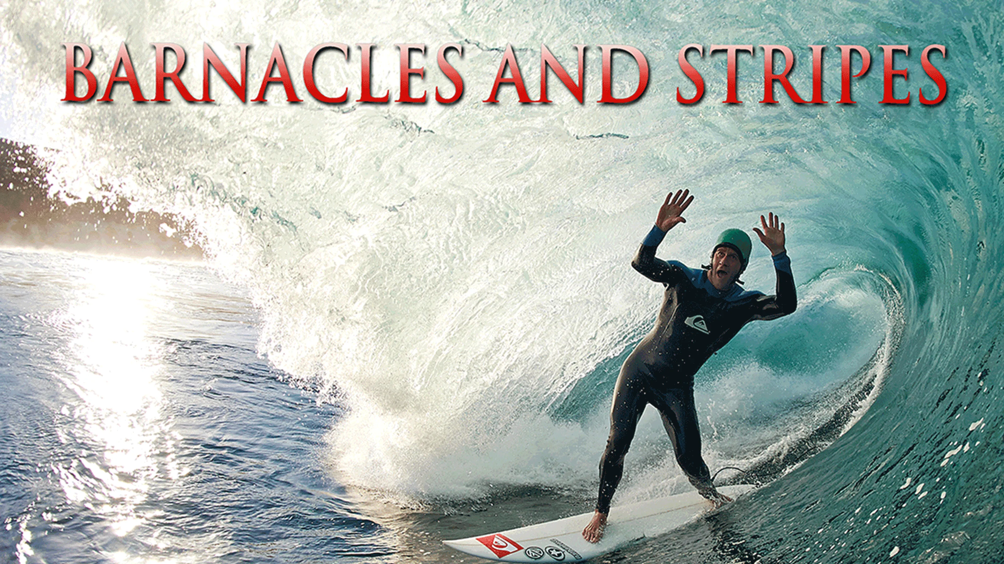 Barnacles and Stripes poster
